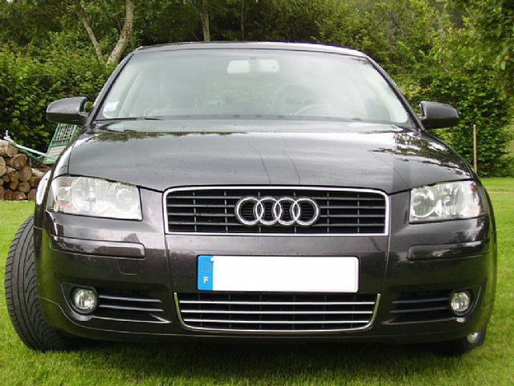Lower radiator grill chrome trim Audi A4 s&eacute;rie 1 94-98 Audi A4 s&eacute;rie 2 00-04 Audi RS4 00-01 Audi S4 03-08 s&eacute;rie 2 Audi S4 08-11 s&eacute;rie 3 Audi S4 11-16 s&eacute;rie 3 phase 2 Audi S4 16-26 s&eacute;rie 4 Audi S4 97-01 s&eacute;rie 1