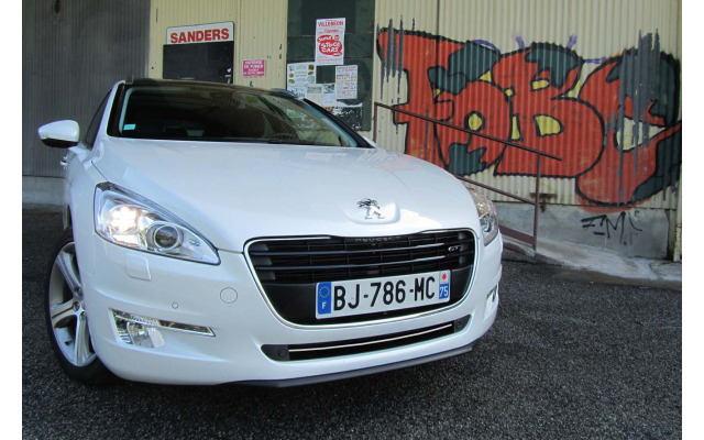 Lower radiator grill chrome trim
