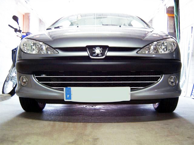 Radiator grill chrome trim compatible with Peugeot 206 Peugeot 206 CC Peugeot 206 SW honeycomb