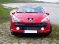 Radiator grill chrome trim compatible with Peugeot 207 06-12 Peugeot 207 CC 07-15 Peugeot 207 SW 07-