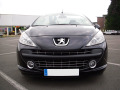 Radiator grill chrome trim compatible with Peugeot 207 06-12 Peugeot 207 CC 07-15 Peugeot 207 SW 07-