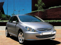 Radiator grill chrome trim compatible with Peugeot 307 01-05 Peugeot 307 CC 01-05 Peugeot 307 SW 01-05