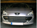 Radiator grill chrome trim compatible with Peugeot 307 05-09 Peugeot 307 CC 05-09 Peugeot 307 SW 05-09