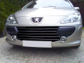 Radiator grill chrome trim compatible with Peugeot 307 05-09 Peugeot 307 CC 05-09 Peugeot 307 SW 05-09