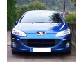 Radiator grill chrome trim compatible with Peugeot 407 & Peugeot 407 SW horizontal