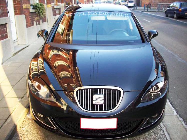 Radiator grill chrome trim compatible with Seat Altea Seat Cordoba Seat Ibiza 84-96 Seat Ibiza 96-01 Seat Leon Seat Toledo