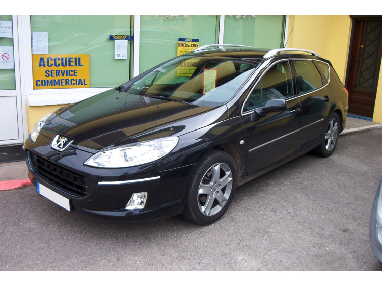Side windows chrome trim Peugeot 407 SW