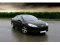 Side windows chrome trim Peugeot 407