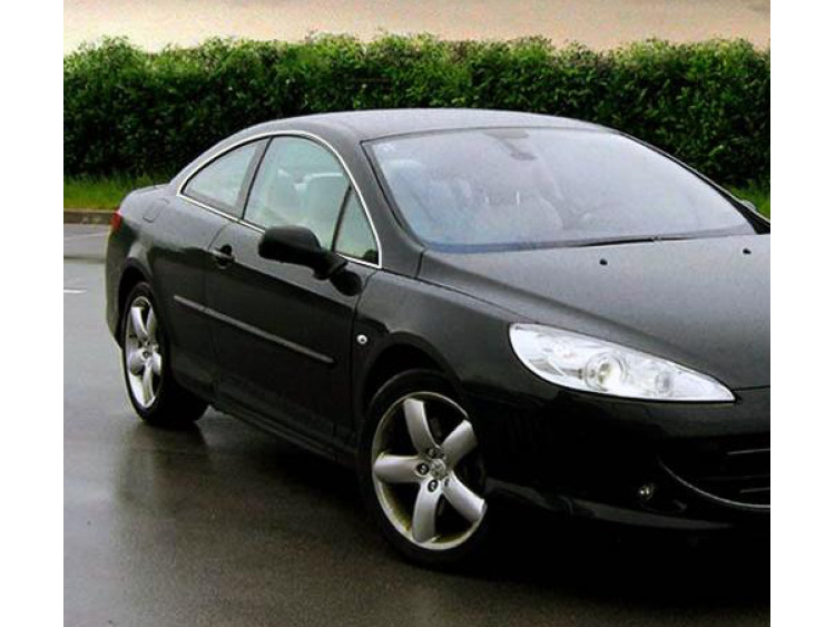 Side windows chrome trim Peugeot 407